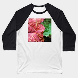 Autumn leaves Baseball T-Shirt